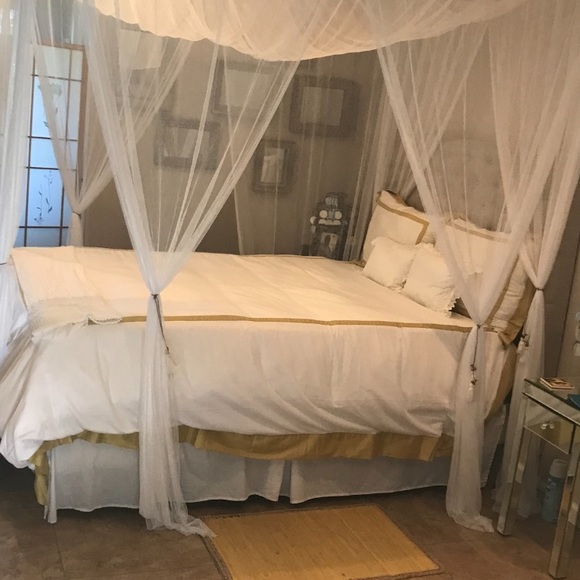 Queen large mosquito